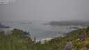 ./images/calvert/foggy-cove/20250812/foggy-cove20250812_093509M.jpg