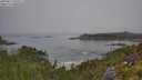 ./images/calvert/foggy-cove/20250812/foggy-cove20250812_095011M.jpg