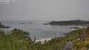./images/calvert/foggy-cove/20250812/foggy-cove20250812_100011M.jpg
