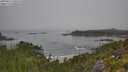 ./images/calvert/foggy-cove/20250812/foggy-cove20250812_100510M.jpg