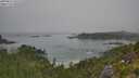 ./images/calvert/foggy-cove/20250812/foggy-cove20250812_101510M.jpg