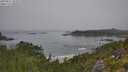 ./images/calvert/foggy-cove/20250812/foggy-cove20250812_102009M.jpg