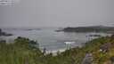 ./images/calvert/foggy-cove/20250812/foggy-cove20250812_102507M.jpg