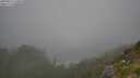 ./images/calvert/foggy-cove/20250812/foggy-cove20250812_110011M.jpg