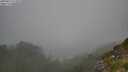 ./images/calvert/foggy-cove/20250812/foggy-cove20250812_111010M.jpg