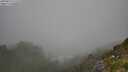 ./images/calvert/foggy-cove/20250812/foggy-cove20250812_111510M.jpg