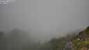 ./images/calvert/foggy-cove/20250812/foggy-cove20250812_112011M.jpg