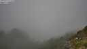 ./images/calvert/foggy-cove/20250812/foggy-cove20250812_112510M.jpg