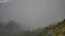 ./images/calvert/foggy-cove/20250812/foggy-cove20250812_113011M.jpg