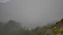 ./images/calvert/foggy-cove/20250812/foggy-cove20250812_113510M.jpg