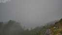 ./images/calvert/foggy-cove/20250812/foggy-cove20250812_114008M.jpg
