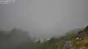 ./images/calvert/foggy-cove/20250812/foggy-cove20250812_114511M.jpg