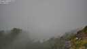 ./images/calvert/foggy-cove/20250812/foggy-cove20250812_115010M.jpg