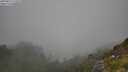 ./images/calvert/foggy-cove/20250812/foggy-cove20250812_115510M.jpg