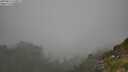 ./images/calvert/foggy-cove/20250812/foggy-cove20250812_120011M.jpg