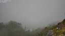 ./images/calvert/foggy-cove/20250812/foggy-cove20250812_120510M.jpg