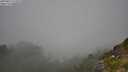 ./images/calvert/foggy-cove/20250812/foggy-cove20250812_121010M.jpg