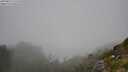 ./images/calvert/foggy-cove/20250812/foggy-cove20250812_121510M.jpg