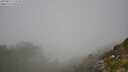 ./images/calvert/foggy-cove/20250812/foggy-cove20250812_122510M.jpg