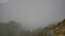 ./images/calvert/foggy-cove/20250812/foggy-cove20250812_123010M.jpg