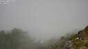 ./images/calvert/foggy-cove/20250812/foggy-cove20250812_123507M.jpg