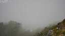./images/calvert/foggy-cove/20250812/foggy-cove20250812_124010M.jpg