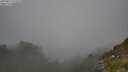 ./images/calvert/foggy-cove/20250812/foggy-cove20250812_124510M.jpg