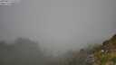 ./images/calvert/foggy-cove/20250812/foggy-cove20250812_125009M.jpg