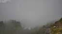 ./images/calvert/foggy-cove/20250812/foggy-cove20250812_125509M.jpg