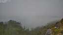 ./images/calvert/foggy-cove/20250812/foggy-cove20250812_130010M.jpg