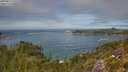 ./images/calvert/foggy-cove/20250812/foggy-cove20250812_131510M.jpg