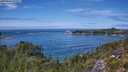 ./images/calvert/foggy-cove/20250812/foggy-cove20250812_132507M.jpg