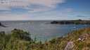 ./images/calvert/foggy-cove/20250812/foggy-cove20250812_153510M.jpg