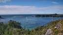 ./images/calvert/foggy-cove/20250812/foggy-cove20250812_161011M.jpg