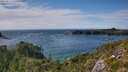 ./images/calvert/foggy-cove/20250812/foggy-cove20250812_161510M.jpg