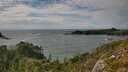 ./images/calvert/foggy-cove/20250812/foggy-cove20250812_164008M.jpg