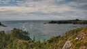 ./images/calvert/foggy-cove/20250812/foggy-cove20250812_170011M.jpg