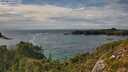 ./images/calvert/foggy-cove/20250812/foggy-cove20250812_170507M.jpg