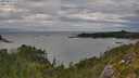 ./images/calvert/foggy-cove/20250812/foggy-cove20250812_173509M.jpg