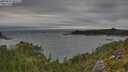 ./images/calvert/foggy-cove/20250812/foggy-cove20250812_181511M.jpg