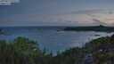 ./images/calvert/foggy-cove/20250813/foggy-cove20250813_054509M.jpg