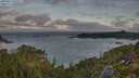 ./images/calvert/foggy-cove/20250813/foggy-cove20250813_064509M.jpg