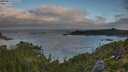 ./images/calvert/foggy-cove/20250813/foggy-cove20250813_073508M.jpg