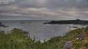 ./images/calvert/foggy-cove/20250813/foggy-cove20250813_074509M.jpg