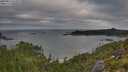 ./images/calvert/foggy-cove/20250813/foggy-cove20250813_075010M.jpg