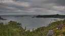 ./images/calvert/foggy-cove/20250813/foggy-cove20250813_075509M.jpg