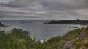 ./images/calvert/foggy-cove/20250813/foggy-cove20250813_080012M.jpg