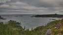 ./images/calvert/foggy-cove/20250813/foggy-cove20250813_080510M.jpg