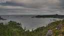 ./images/calvert/foggy-cove/20250813/foggy-cove20250813_081010M.jpg