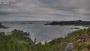 ./images/calvert/foggy-cove/20250813/foggy-cove20250813_082510M.jpg